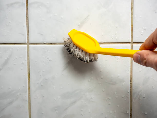 Best Localized Mold Remediation (e.g., coastal areas, humid climates) in Mount Zion, GA